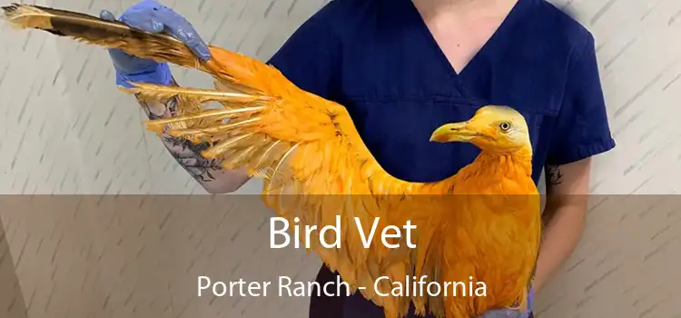 Bird Vet Porter Ranch - California