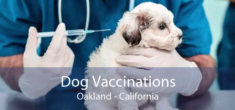 Dog Vaccinations Oakland - California