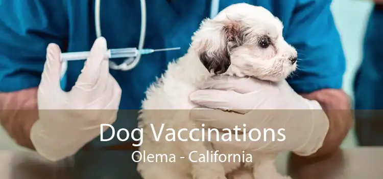 Dog Vaccinations Olema - California