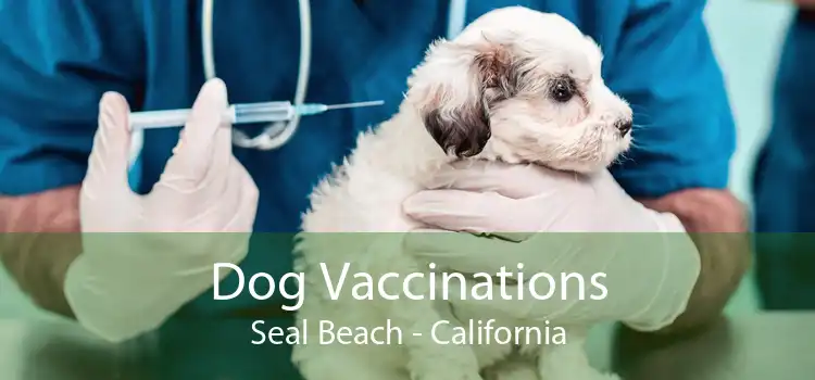 Dog Vaccinations Seal Beach - California