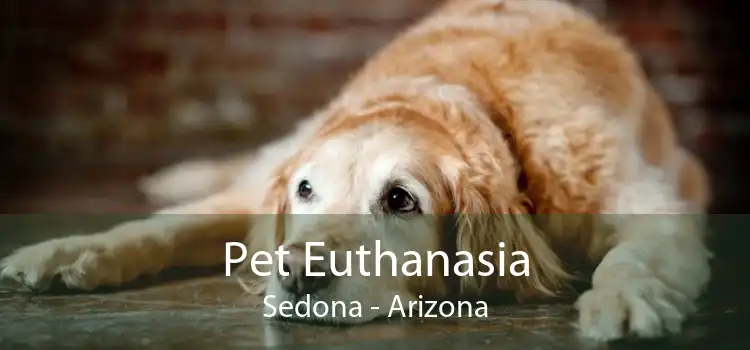 Pet Euthanasia Sedona - Arizona