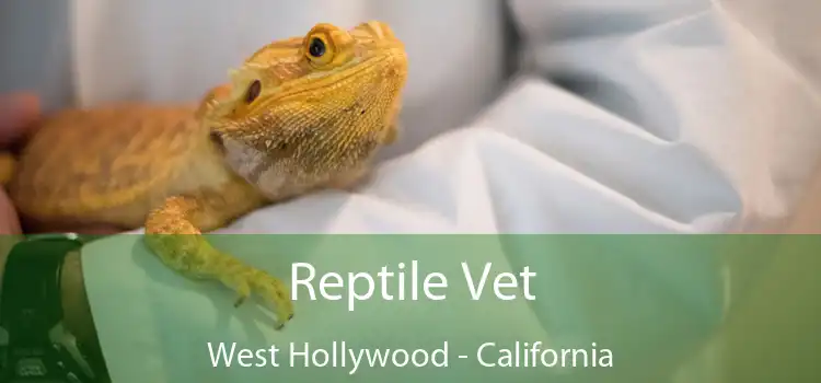 Reptile Vet West Hollywood - California