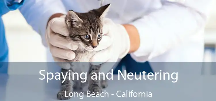 Spaying and Neutering Long Beach - California