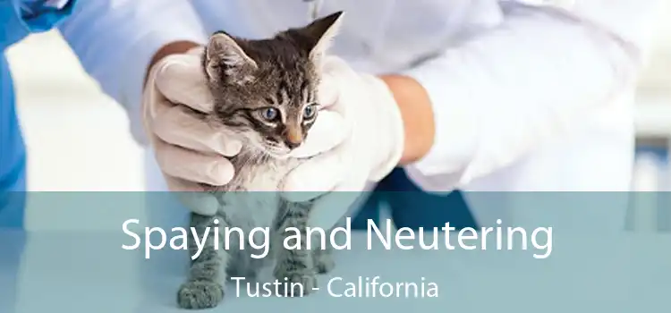 Spaying and Neutering Tustin - California